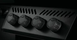 NAPOLEON Phantom Freestyle 425, Mit Edelstahl Rosten Und Tür, Mattschwarz -Broil King Geschaft Phantom Freestyle F425DSIBPK PHM Detail Control Panel