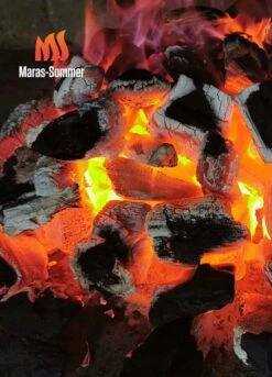 Big Green Egg Woody Holzkohle Aus Buchenholz 10 Kg 8 Big Green Egg Woody Holzkohle Aus Buchenholz 10 Kg -Broil King Geschaft bge 0724943369085 Buchenholzkohle 2048x2048