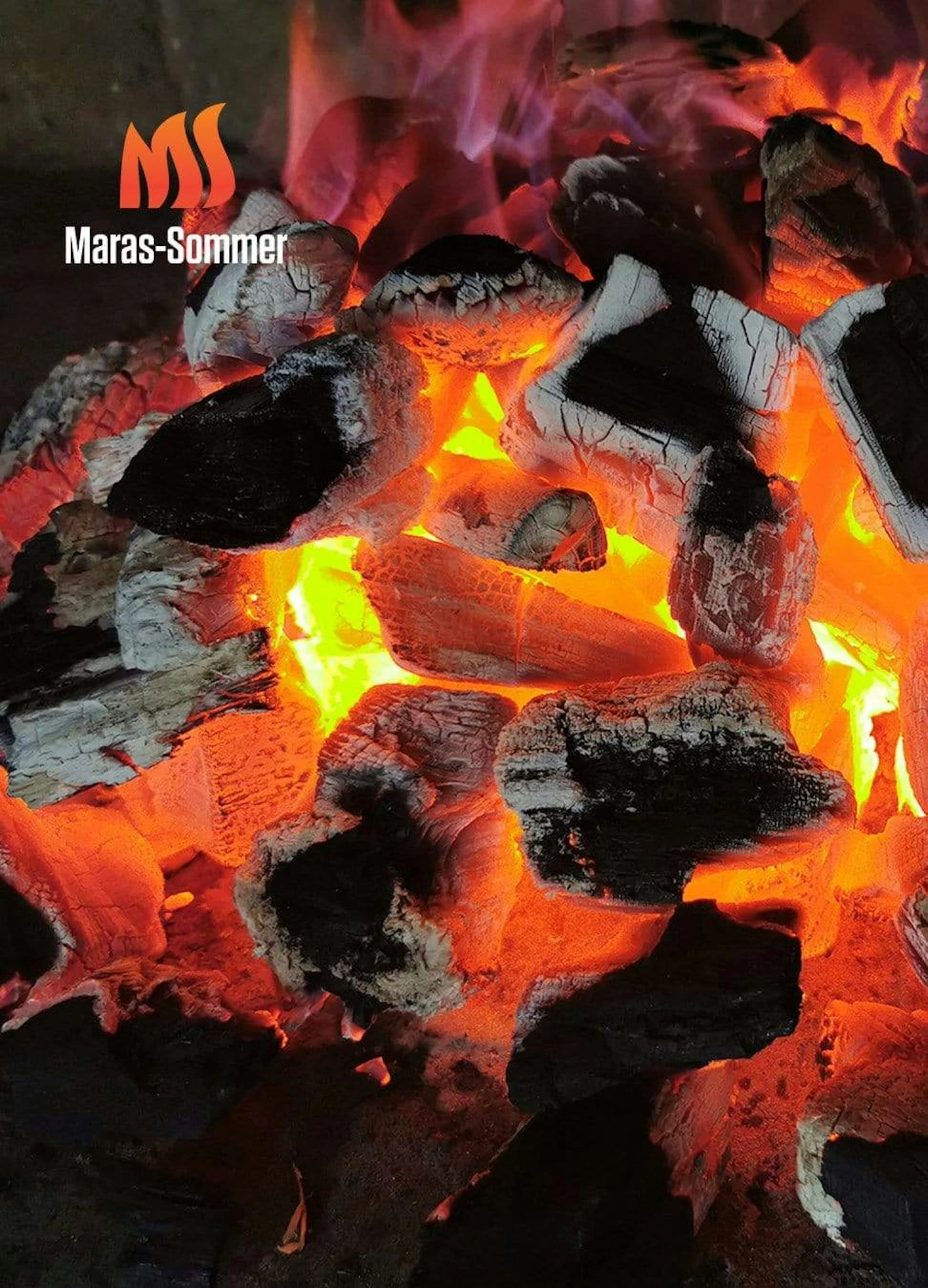 Big Green Egg Woody Holzkohle Aus Buchenholz 10 Kg 5 Big Green Egg Woody Holzkohle Aus Buchenholz 10 Kg – Bild 3