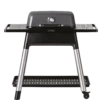 Everdure FORCE Gasgrill Graphite Mit Zwei Brennern -Broil King Geschaft everdure FORCE graphit