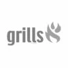 Everdure Universal-Grillgitter Für Fisch, Gemüse Uvm. -Broil King Geschaft placeholder