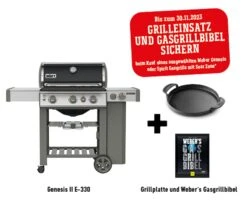 Weber Genesis II E-330 GBS
